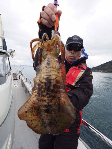 まるいち丸 ZERO-1 釣果