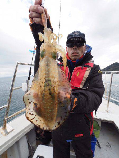 まるいち丸 ZERO-1 釣果