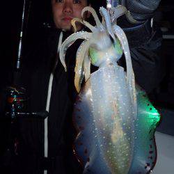 まるいち丸 ZERO-1 釣果