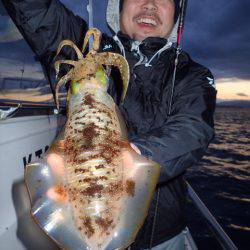まるいち丸 ZERO-1 釣果