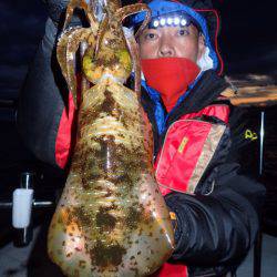 まるいち丸 ZERO-1 釣果