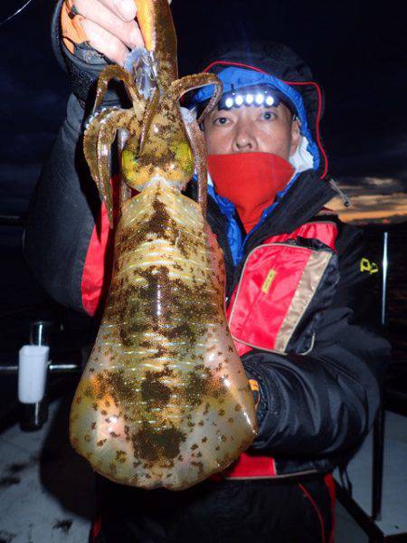 まるいち丸 ZERO-1 釣果