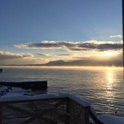 シーランチ 釣果