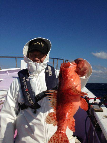 晃山丸 釣果