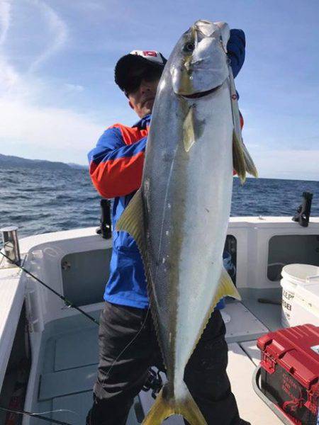 アマテラス 釣果