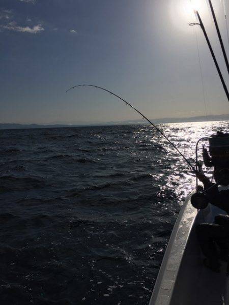 うさぎ丸 釣果