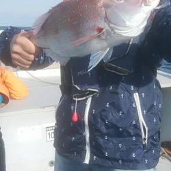 海季丸(みきまる) 釣果