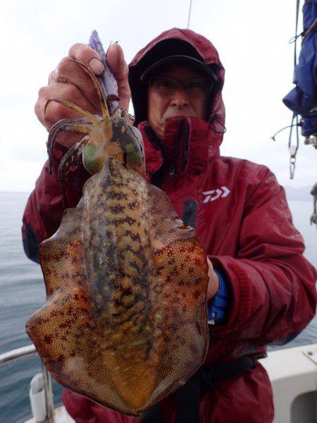 まるいち丸 ZERO-1 釣果