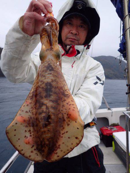 まるいち丸 ZERO-1 釣果