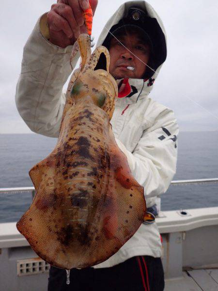 まるいち丸 ZERO-1 釣果