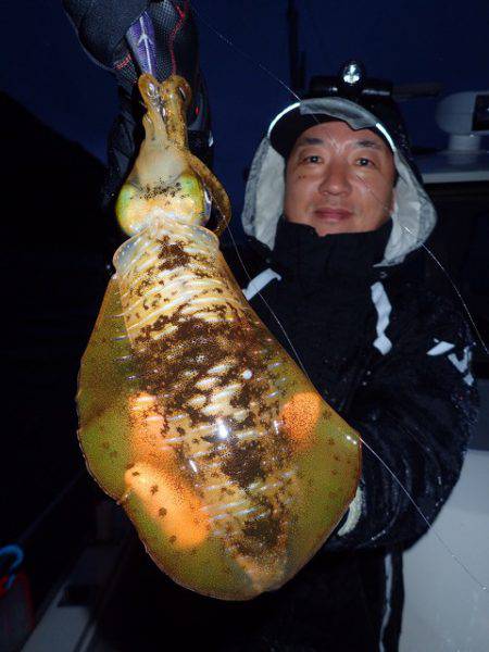 まるいち丸 ZERO-1 釣果