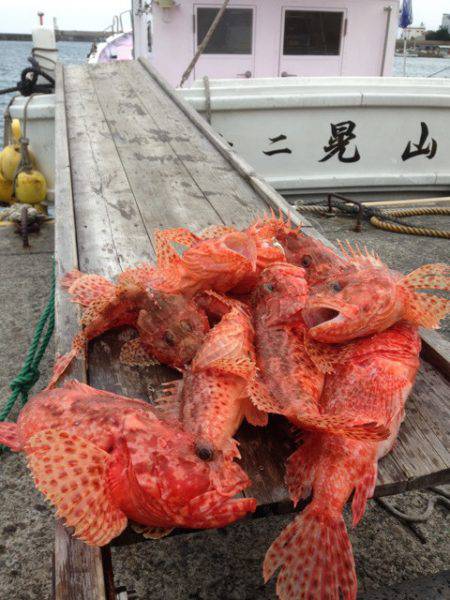 晃山丸 釣果