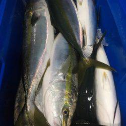 第二八坂丸 釣果