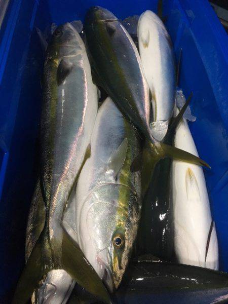 第二八坂丸 釣果