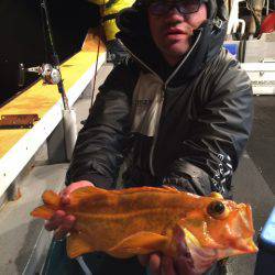 シーランチ 釣果