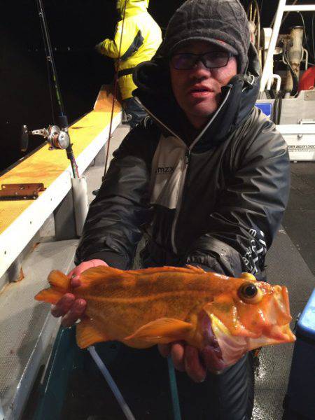 シーランチ 釣果