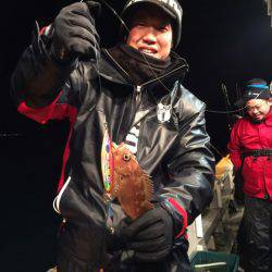 シーランチ 釣果