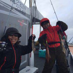 シーランチ 釣果