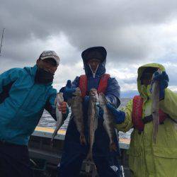 シーランチ 釣果