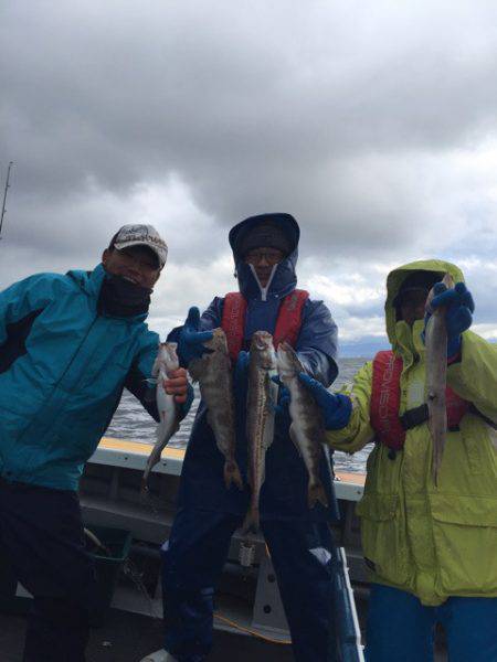 シーランチ 釣果