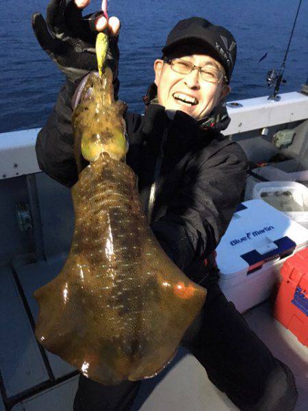 エヌスタイル 釣果