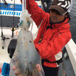 エヌスタイル 釣果