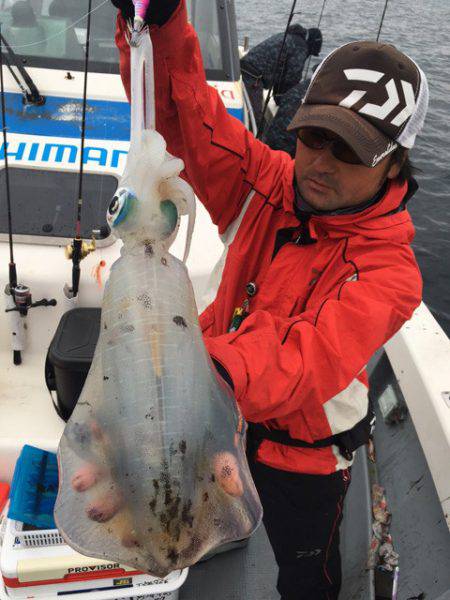 エヌスタイル 釣果