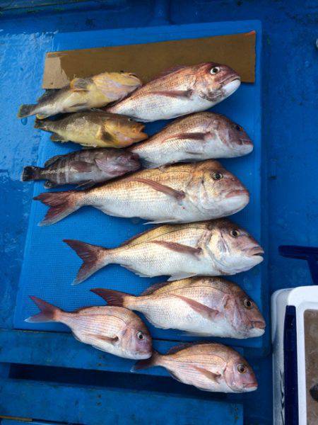 太平丸 釣果