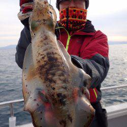 まるいち丸 ZERO-1 釣果