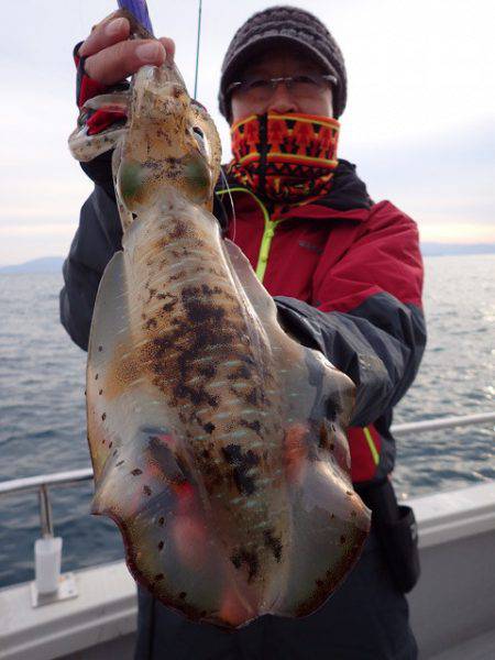 まるいち丸 ZERO-1 釣果