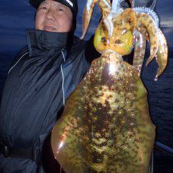 まるいち丸 ZERO-1 釣果