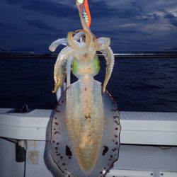 まるいち丸 ZERO-1 釣果