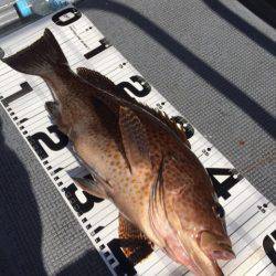 第二 海洋丸 釣果