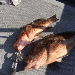 第二 海洋丸 釣果