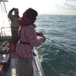 ビッグファイター 釣果