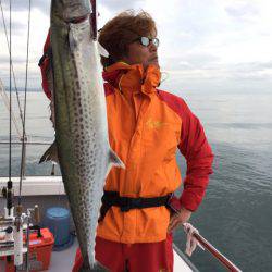 ビッグファイター 釣果