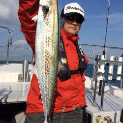 ビッグファイター 釣果