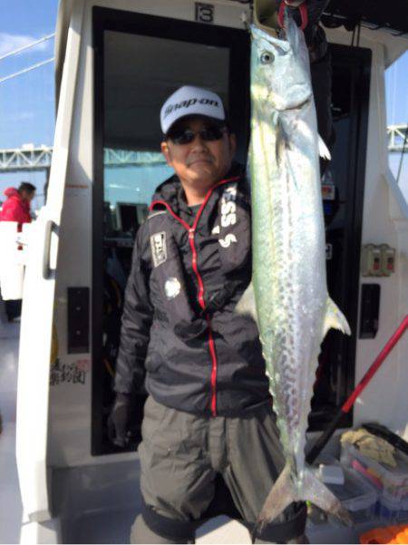 ビッグファイター 釣果