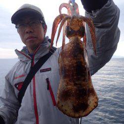 まるいち丸 ZERO-1 釣果