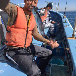 ヤザワ渡船 釣果