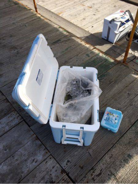 釣り堀水宝 釣果