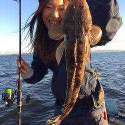 アマテラス 釣果