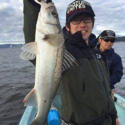 アマテラス 釣果