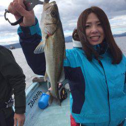 アマテラス 釣果