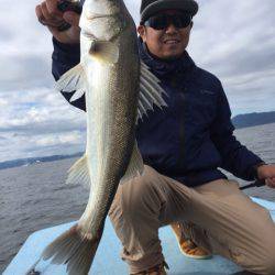 アマテラス 釣果