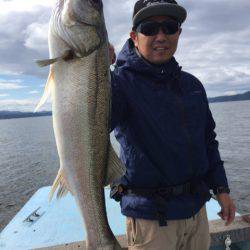 アマテラス 釣果