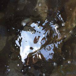 「LaGooN」蒼陽丸 日和号 釣果