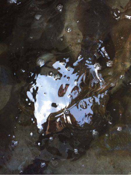 「LaGooN」蒼陽丸 日和号 釣果