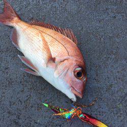 第二 海洋丸 釣果