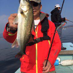 アマテラス 釣果